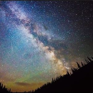 Meet your Posher, Bri